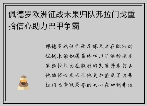 佩德罗欧洲征战未果归队弗拉门戈重拾信心助力巴甲争霸