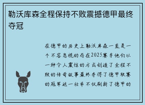 勒沃库森全程保持不败震撼德甲最终夺冠 勒沃库森全程保持不败震撼德甲最终夺冠